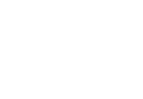 logo summits coaching